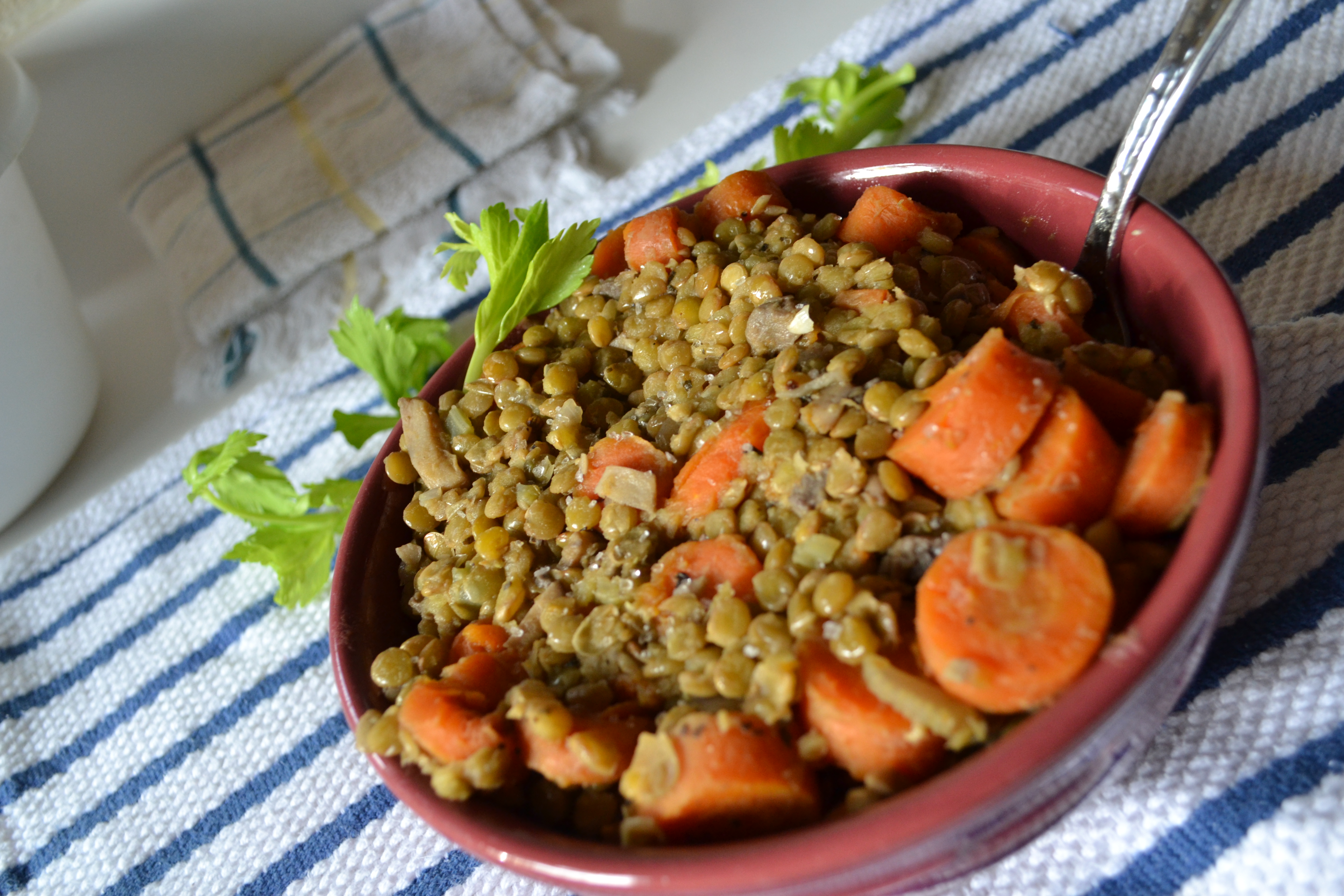 Vegetarian Lentil Soup